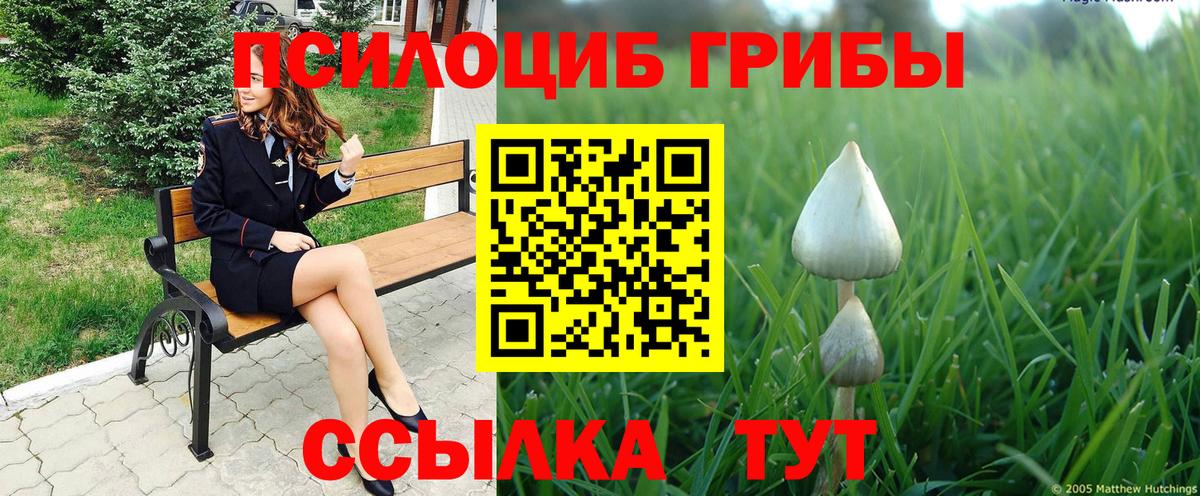 Псилоцибиновые грибы Magic Shrooms  Псилоцибиновые грибы прущие грибы  даркнет сайт  Кизляр  Вход с VPN 